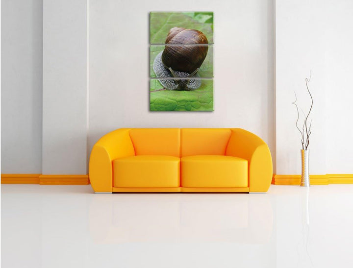 Pixxprint Weinbergschnecke auf Blatt 3-Teiler Leinwandbild 120x80 Bild auf Leinwand