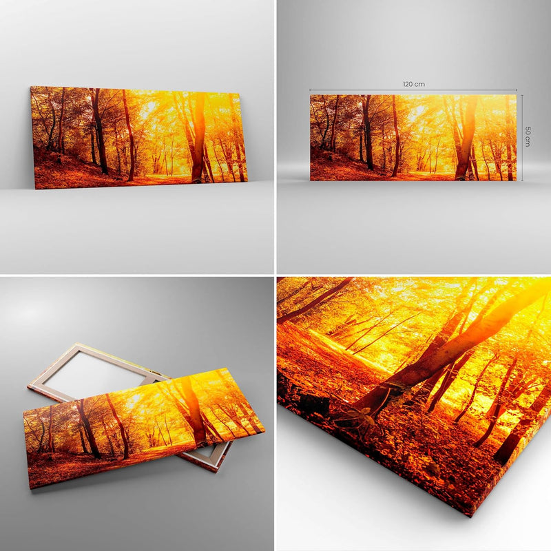 Wandbilder Dekoration Wohnzimmer Wald Baum Natur Panorama Bilder auf Leinwand 120x50cm Leinwandbild