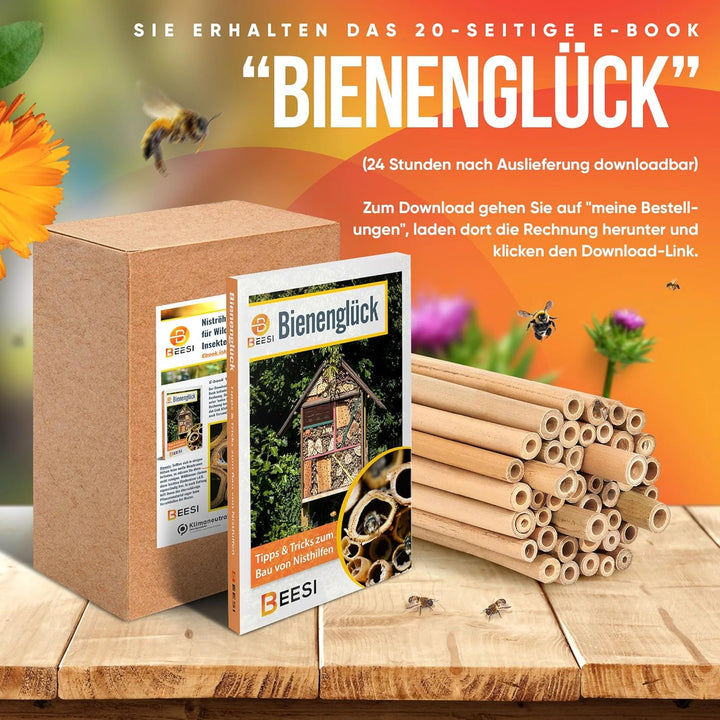 Beesi Bambusröhrchen für Insektenhotel 100 Stück 10cm Länge I Insektenhaus für Wildbienen I Wildbien