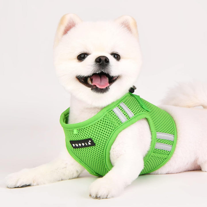 Soft Vest Harness Pro – Grün – M Grün Medium, Grün Medium