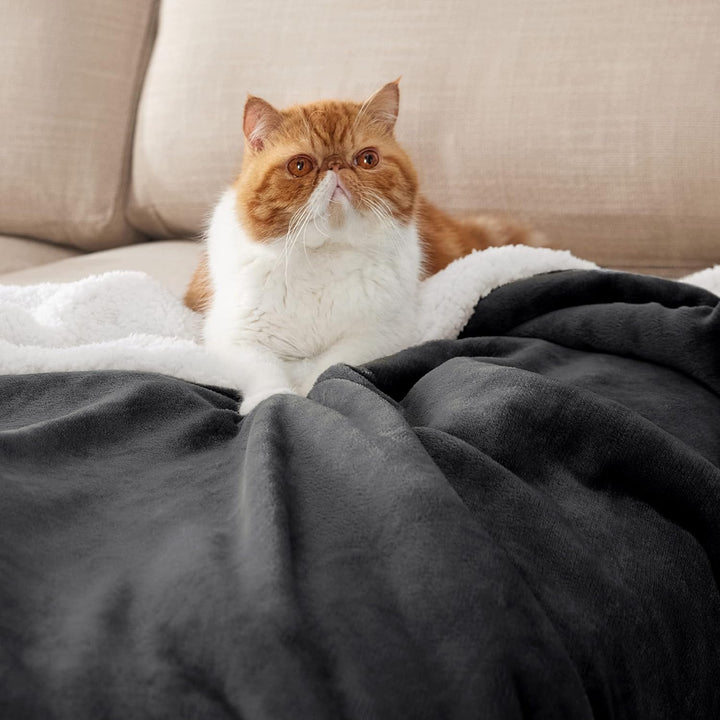 BEDSURE Decke Sofa Kuscheldecke Anthrazit - warm Sherpa Sofaüberwurf Decke, Dicke Sofadecke Couchdec