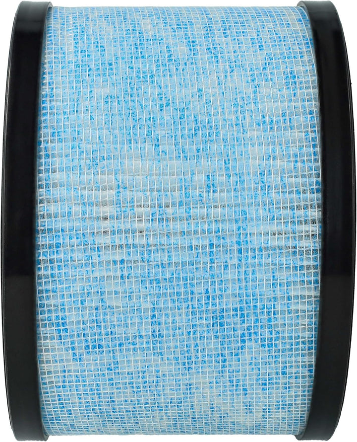 vhbw 2X HEPA Filter H13 kompatibel mit CONOPU DH-JH01, DH-JH06 Luftreiniger - Ersatz-Filter mit inte