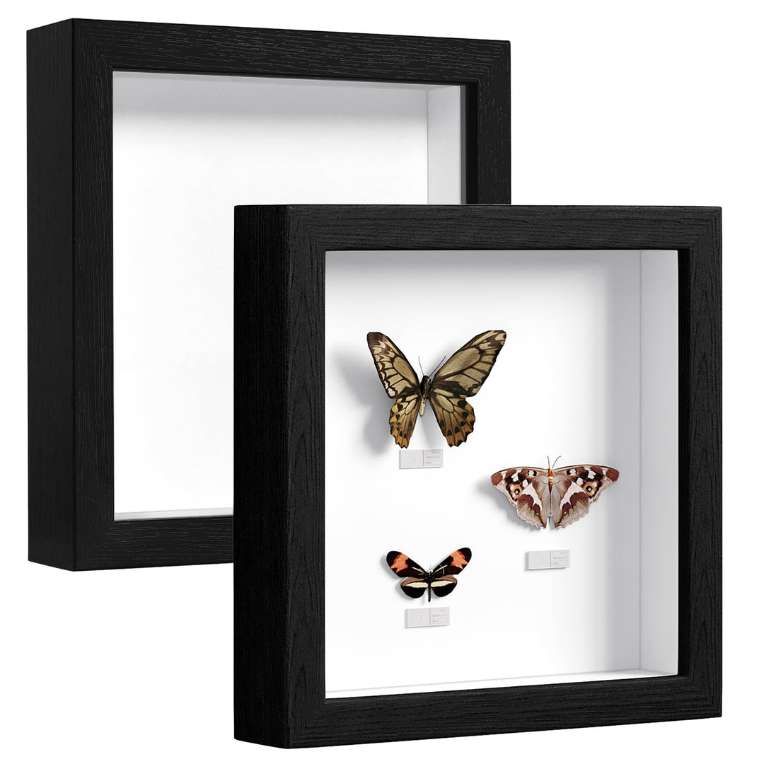 EUGAD 2er Pack 3D Bilderrahmen zum Befüllen, Objektrahmen 20x20 cm, tiefer Rahmen für Objekte bis 3