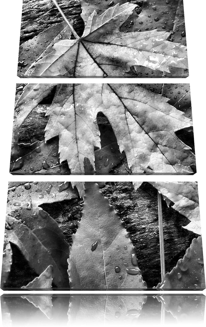Pixxprint Monocrome, Bunte Herbstblätter 3-Teiler Leinwandbild 120x80 Bild auf Leinwand