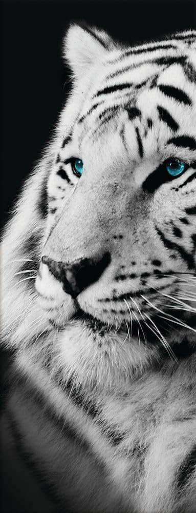 artissimo, Glasbild, 30x80cm, AG4101A, Tiger, Bild aus Glas hochkant, moderne Wanddekoration aus Gla