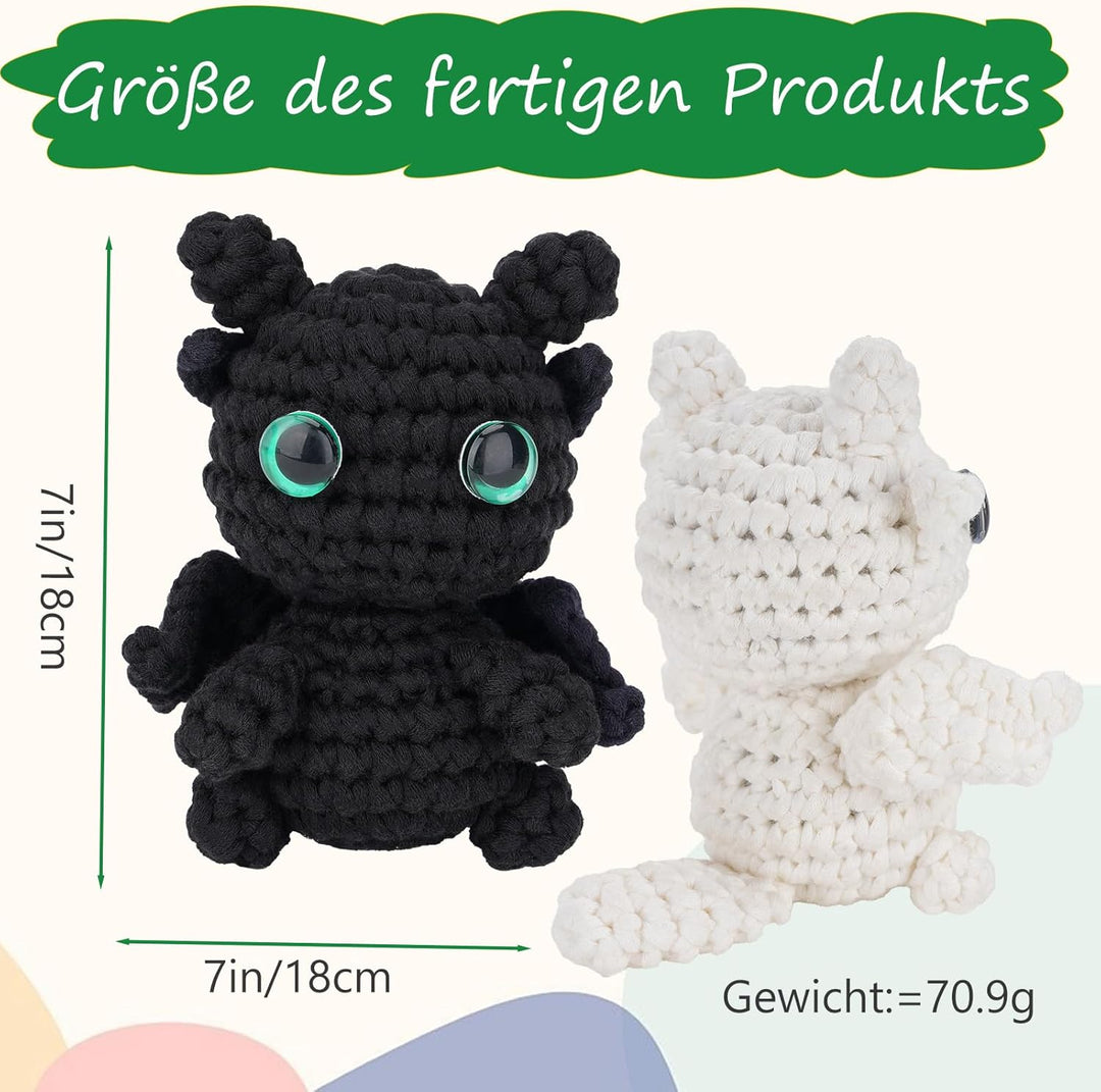 puiaxod Häkelset für Anfänger, Erwachsene Kinder Häkelnadel Set für Anfänger, 2 Stück Schwarz-Weisse