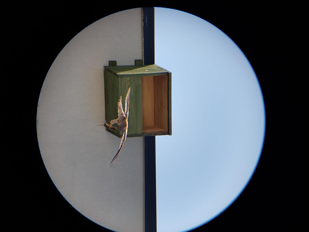 Vogelhaus - Nistkasten Für Turmfalken MKW - Stabiler nisthaus für Wildvögel und Gartenvögel - Nistha