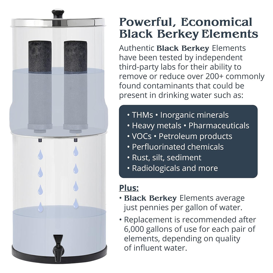 Royal Berkey RB4x2-BB Wasserfiltersystem w/2 Black Elements by Berkey