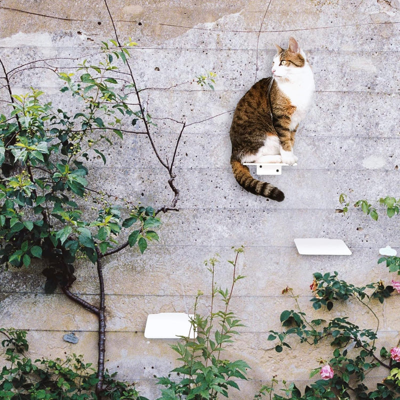 LucyBalu® Katzentreppe Wand Innen & Aussen 3er Set | Kletterwand für Katzen | Wandpark für Katzen bi