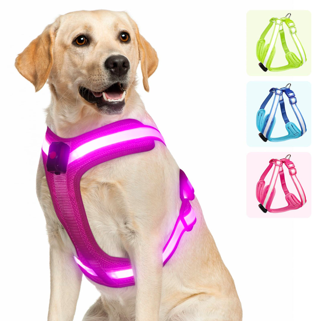 Hundegeschirr Leuchtend, Leuchtgeschirr für Hunde Aufladbar, Leuchtendes Hundegeschirr LED, Leucht G