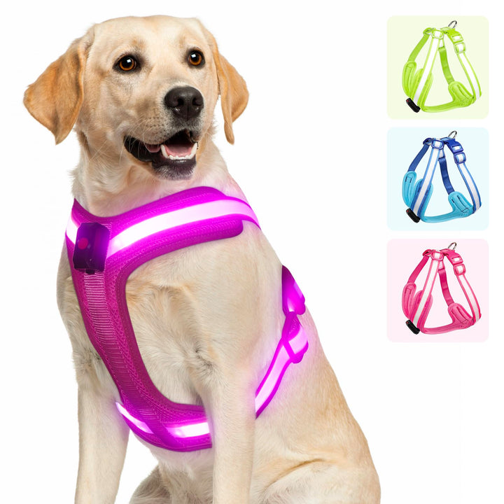 Hundegeschirr Leuchtend, Leuchtgeschirr für Hunde Aufladbar, Leuchtendes Hundegeschirr LED, Leucht G
