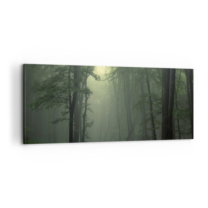 Panorama Bilder auf Leinwand 100x40cm Leinwandbild mit Rahmen Wald Nebel Baum Gross Wanddeko Bild Sc