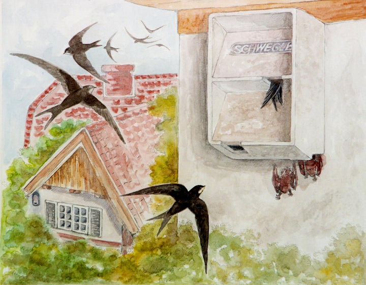 Mauersegler- /Fledermaus-Haus Typ 1MF