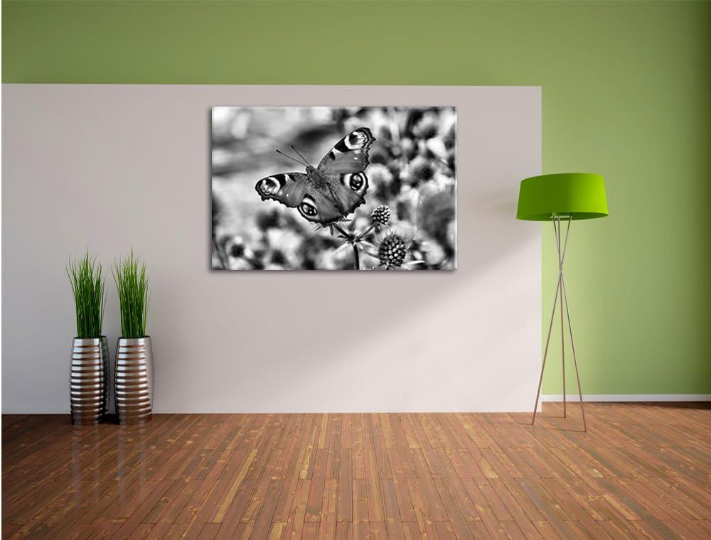 Pixxprint Monocrome, Schöner Schmetterling Pfauenauge, Format: 100x70 auf Leinwand, XXL riesige Bild
