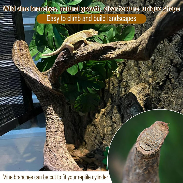 Reptilienholzzweig Eidechse Kletterreben Schlange Terrarium Dekor Gecko Tank Habitat Dekorationen fü