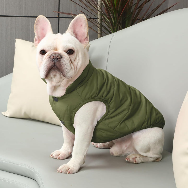 JoyDaog Fleece Hundejacke für Winter kaltes Wetter, Extra Weicher Hundemantel für Kleine Hunde, Wind