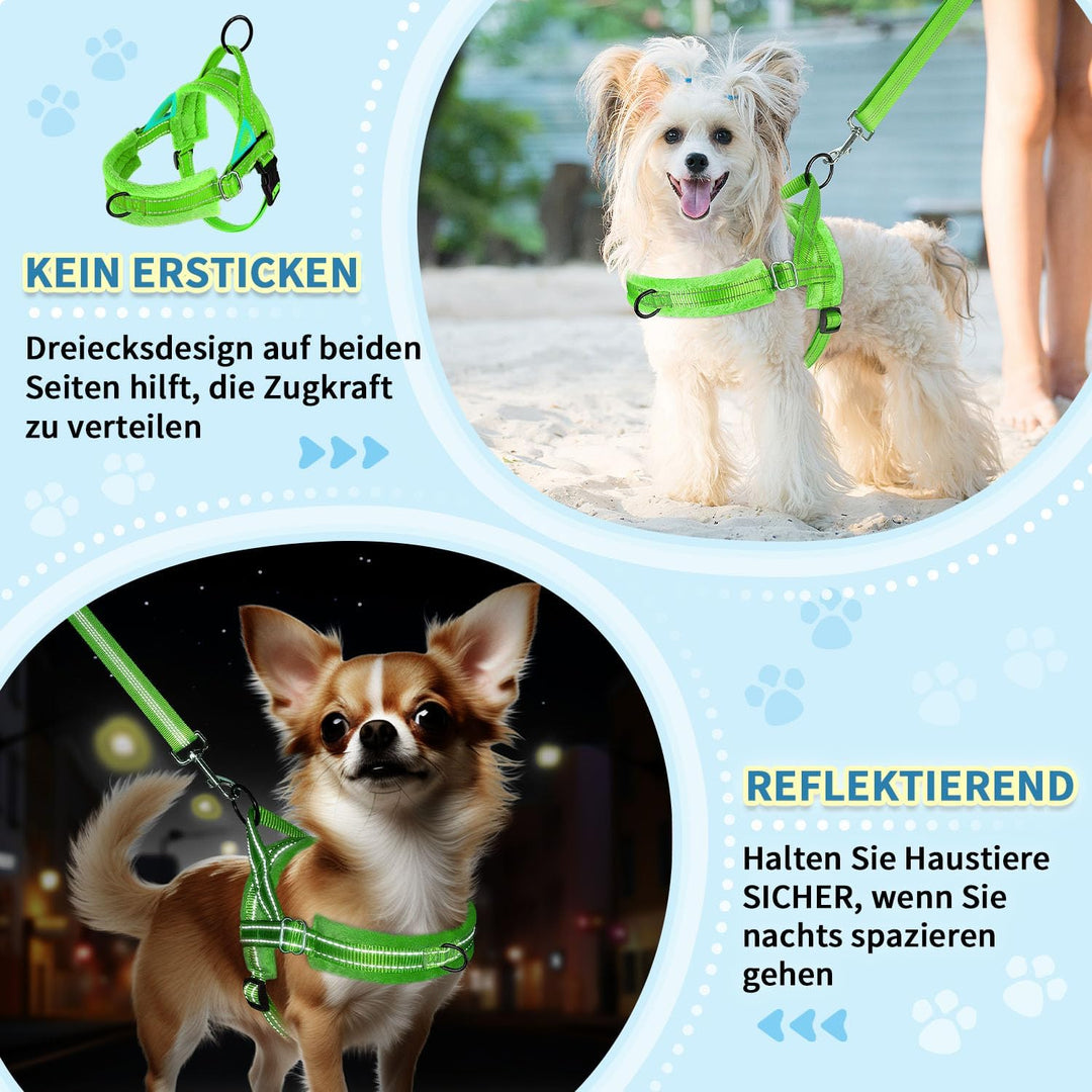 Hundegeschirr mit Leine für mittelgrosse Kleine Hunde, Weich gepolsterter No-Pull Brustgeschirr mit