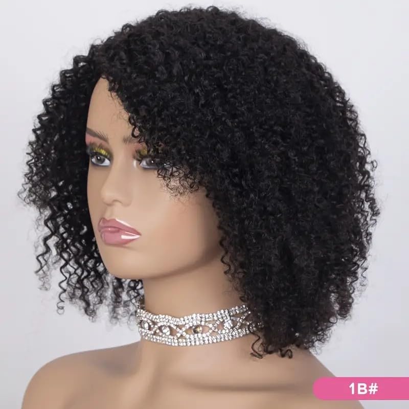 Echthaar Perücke Human Hair None Lace Front Wig Afro Kinky Curly Natural Hair Echthaarperücken Für S