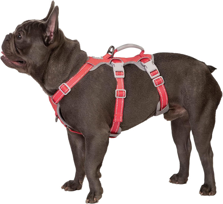 Huntboo Hunde Sicherheitsgeschirr, Rutschfestes Hundegeschirr Escape Proof, Reflektierendes Geschirr