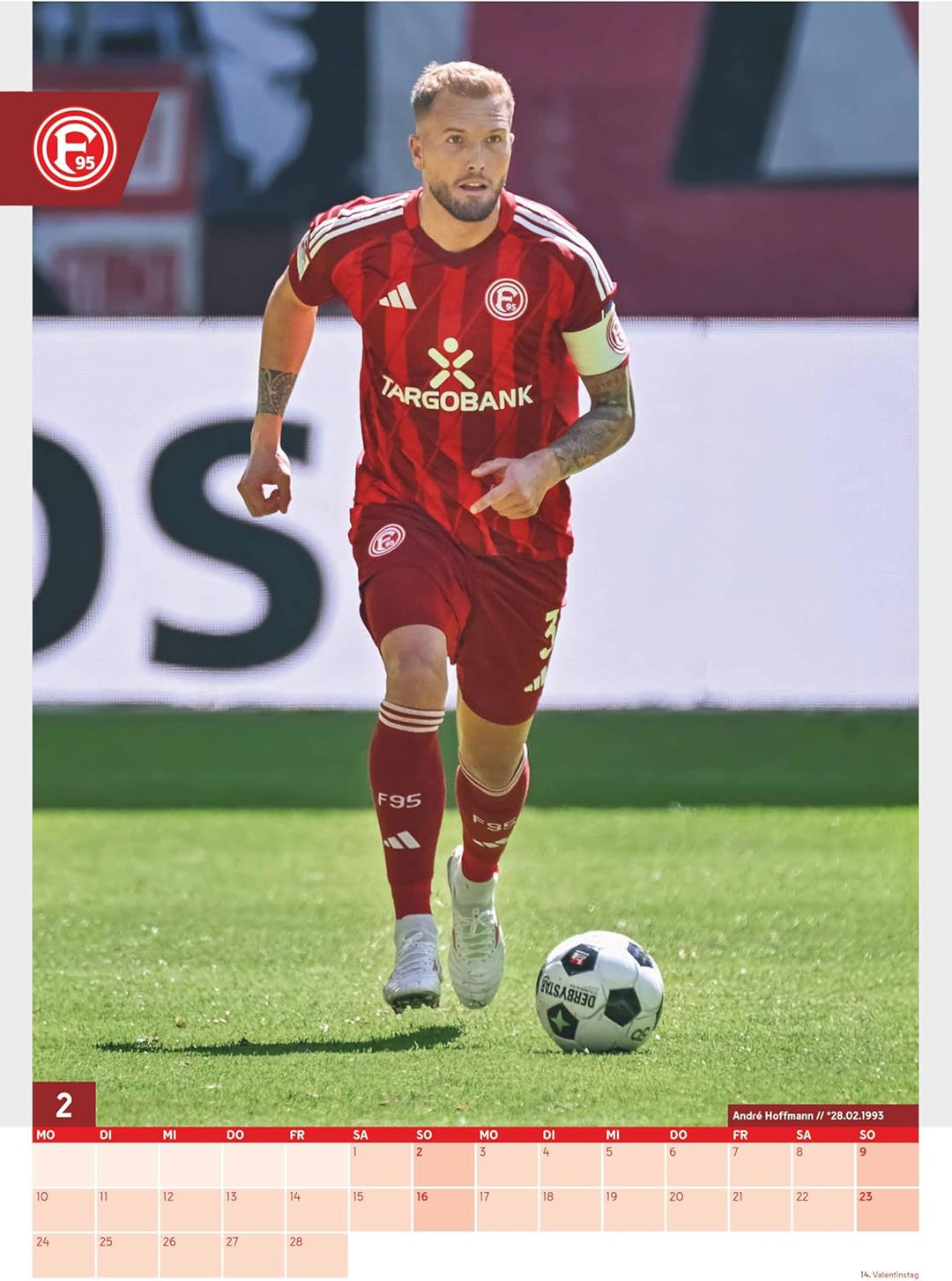 N NEUMANNVERLAGE - Fortuna Düsseldorf 2025 Wandkalender, 29,7x42cm, Fussball-Kalender mit Motiven de