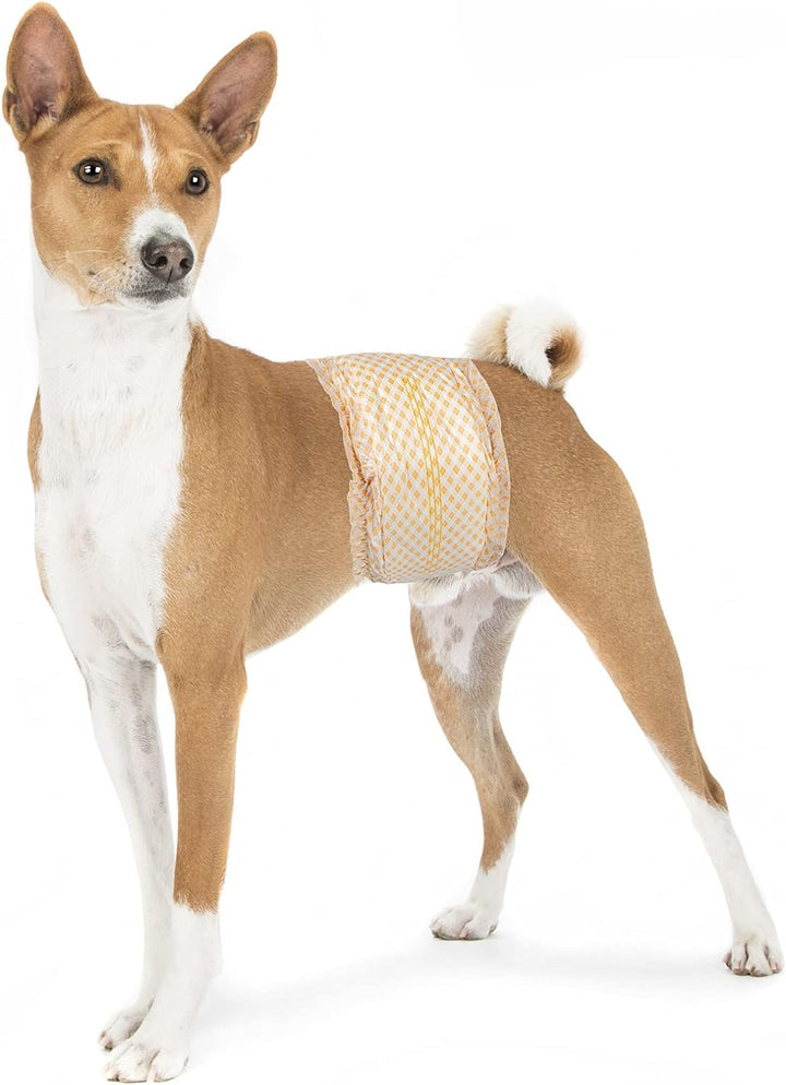 Pet Soft Hundewindel für Rüden, Einweg-Windel für Rüden, Rüdenwindeln, Super saugfähig und auslaufsi