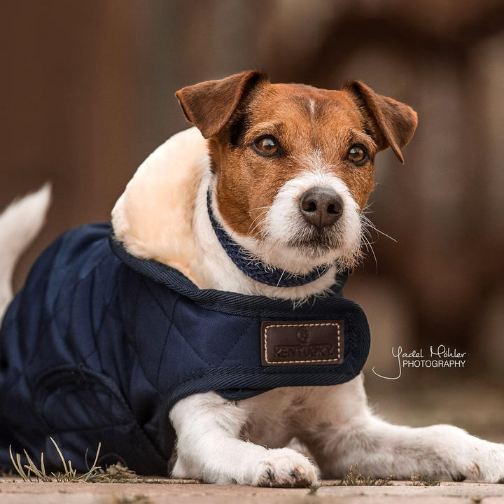 Kentucky Dogwear Hundemantel 160g, XS/navy marine XS, marine XS