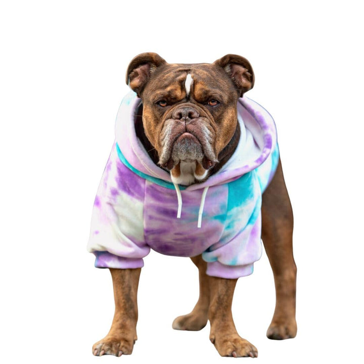 Spark Paws Hunde-Kapuzenpullover, Premium-Qualität, samtweich, überlegener Komfort und Passform, ber