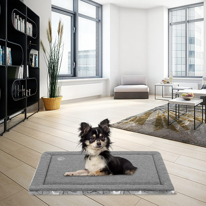EMPSIGN Hundebett kleine Hunde, Waschbar Hundekissen (kühl und warm), Hundematte aus hochdichtem Sch