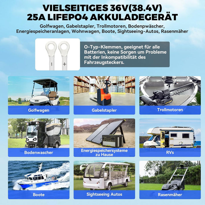 KAISAL 43.8V 25A LiFePO4 Ladegerät für 36V (38.4V) LiFePO4 Lithium-Eisenphosphat-Batterien, 36V Lith