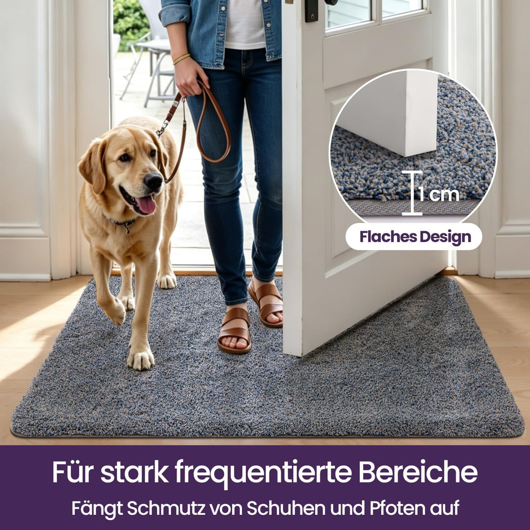 DEXI Schmutzfangmatte,rutschfeste Fussmatte für Innen und Aussen,Waschbar Eingangsteppich Saugstarke