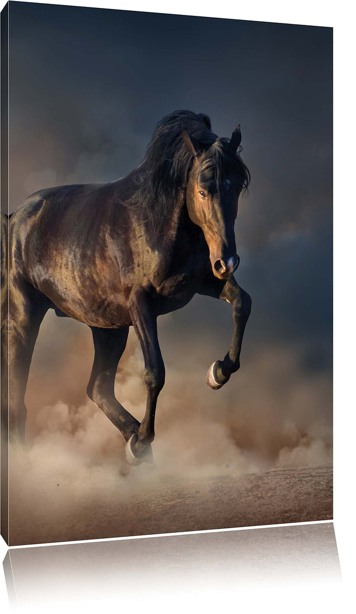 Schwarzes Pferd, Format: 100x70 auf Leinwand, XXL riesige Bilder fertig gerahmt mit Keilrahmen, Kuns