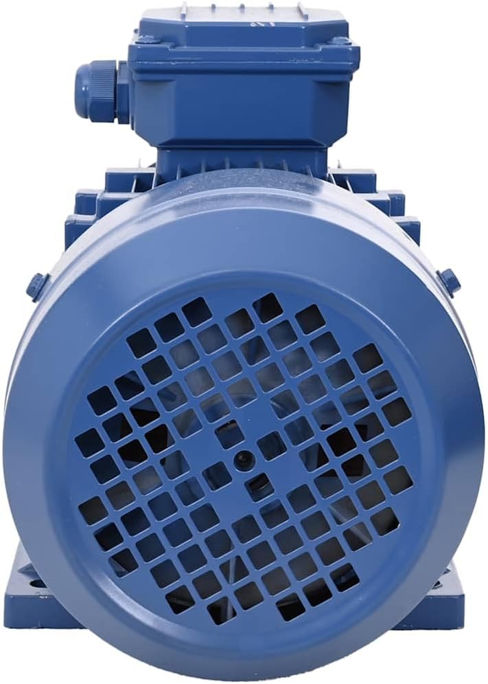 vidaXL Elektromotor 3-Phasen Asynchronmotor Drehstrommotor Motor E-Motor für Kompressor Hebezeug Win