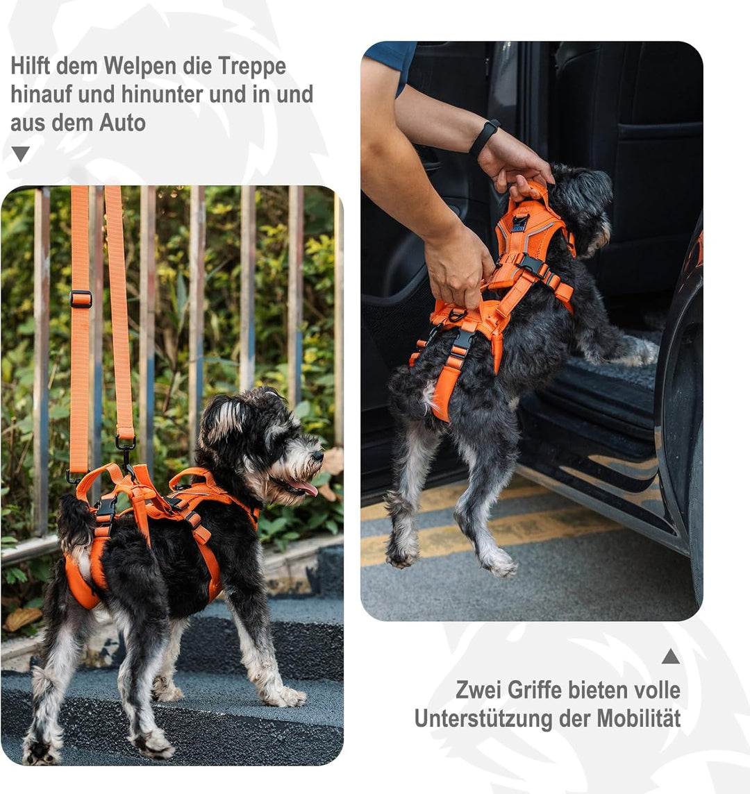 OneTigris Hundegeschirr, Hopper Kleines Unterstützung Geschirr Einstellbares Hebegeschirr mit 2 Grif
