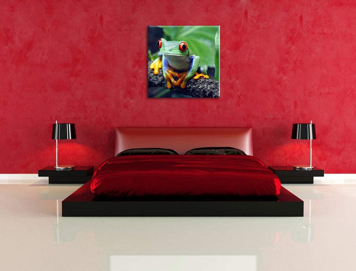 Rotaugenlaubfrosch auf Ast, Format: 70x70 auf Leinwand, XXL riesige Bilder fertig gerahmt mit Keilra