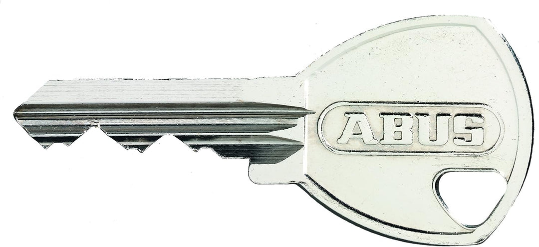 ABUS Vorhängeschloss Messing 65/50 - Kellerschloss, Spindschloss u. v. m.- Messing-Schlosskörper - g