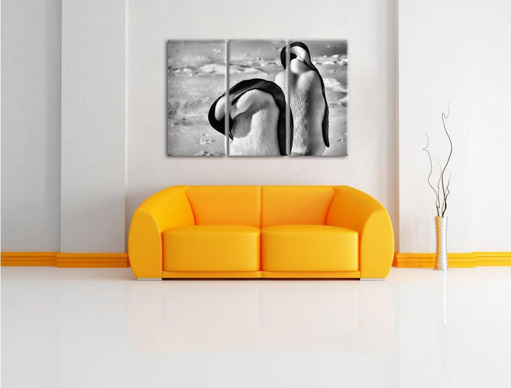 Pixxprint Monocrome, Zwei Kaiserpinguine beim Putzen 3-Teiler Leinwandbild 120x80 Bild auf Leinwand