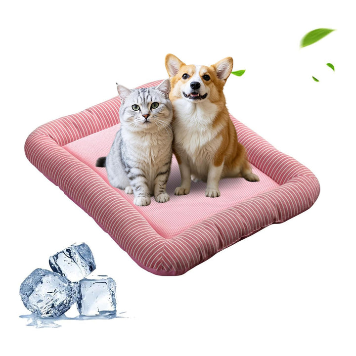 PETCUTE Hundebett Katzenbett Katzen Tiere Hundedecke Hundekorb,Hundebett Grosse Mittlere Kleine Hund