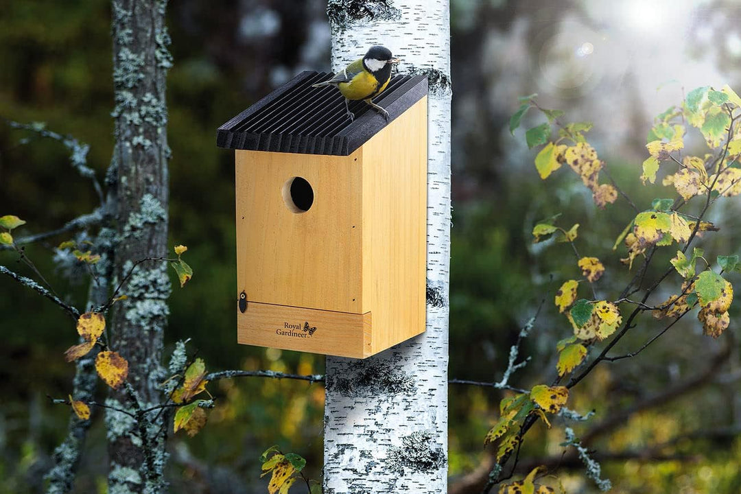 Royal Gardineer Vogel Nistkasten: 2er-Set Tannenholz-Nistkästen für Wildvögel, 22x14x12 cm, vormonti