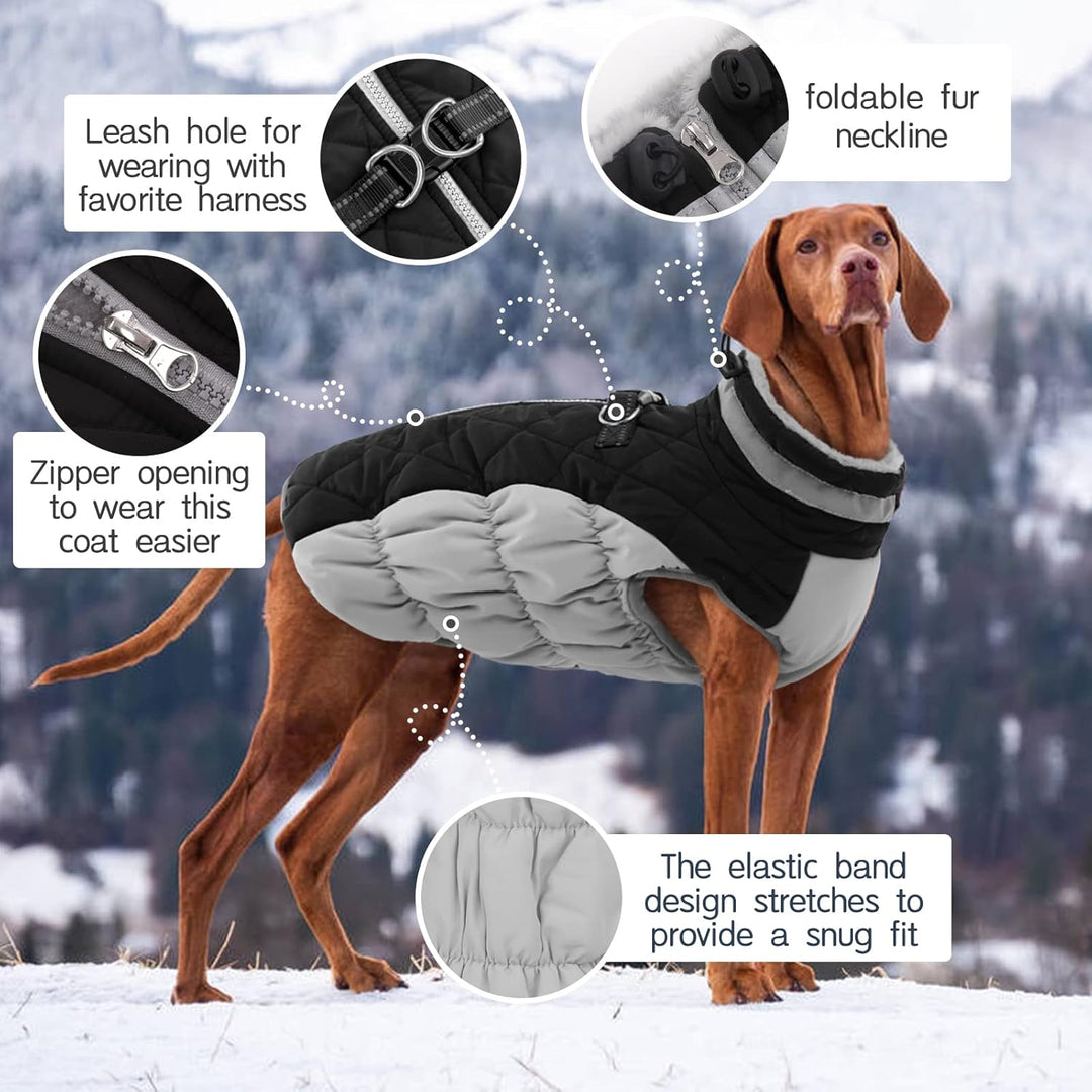 Kuoser Hundejacke Hundemantel für Kleine Hunde Winterweste, Wasserdicht Hunde Wintermantel Jacke Win