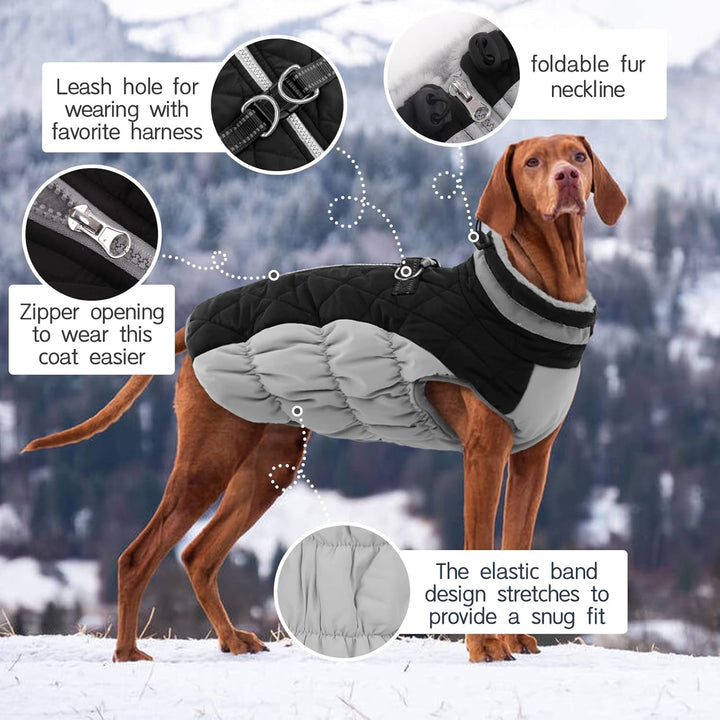 Kuoser Hundejacke Hundemantel für Mittelgrosse Hunde Winterweste Wasserdicht Wintermantel Mit Geschi