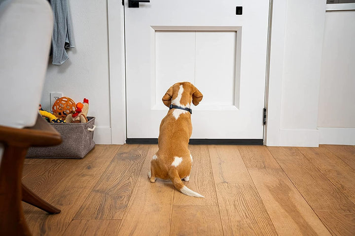 Zugluftstopper für Türen 60-100CM Türdichtung Unten Ohne Kleben Rückstandlos Tür Luftzugstopper - En