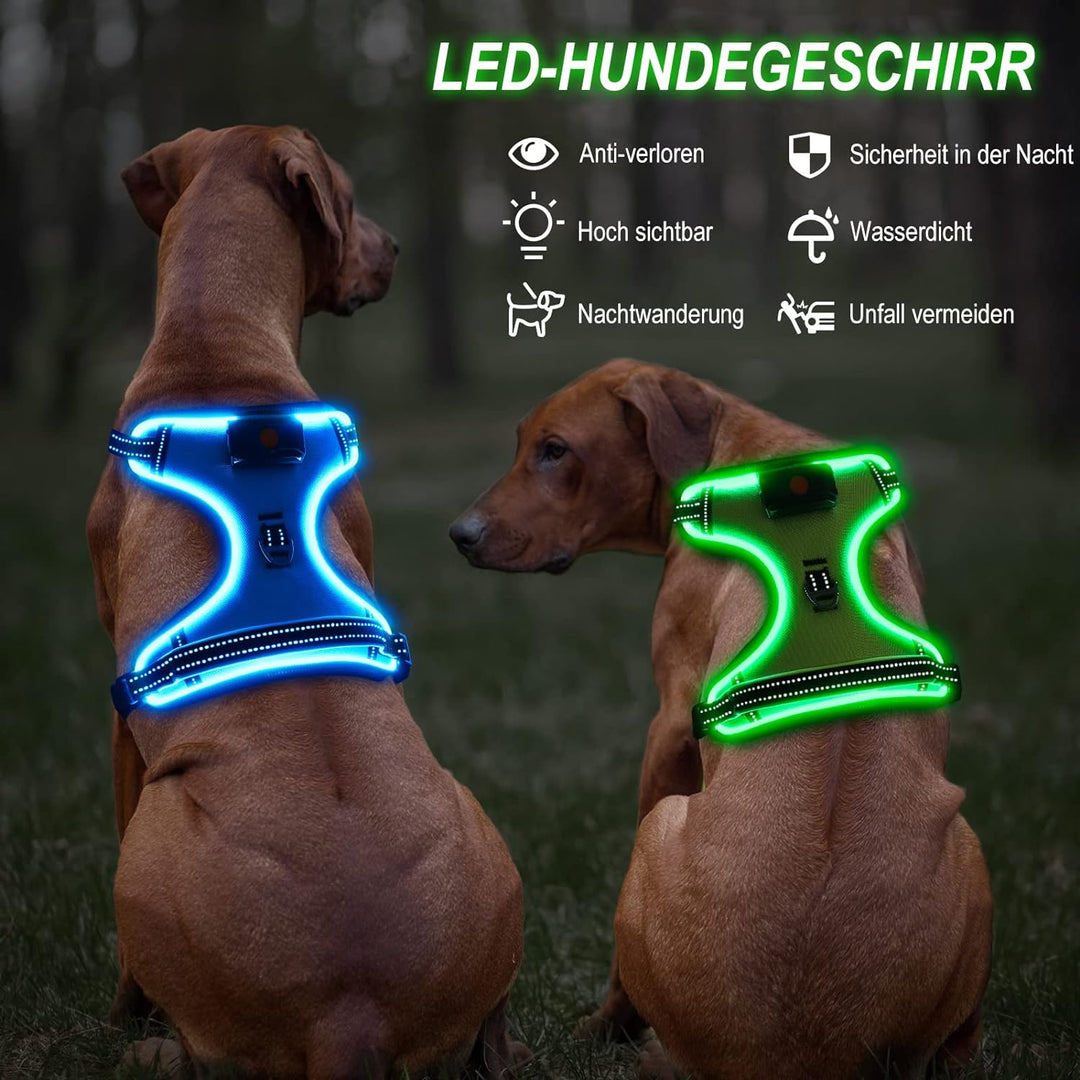 Bpawser Light Up Hundegeschirr LED Hundegeschirr No-Pull mit Griff Wiederaufladbare beleuchtete Hund