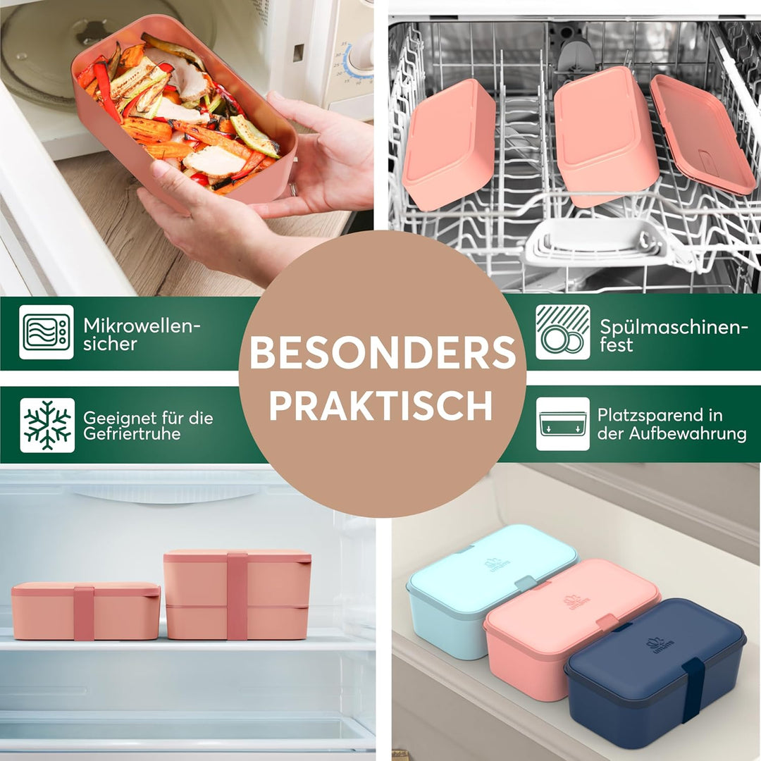 Umami Lunchbox Erwachsene, Verschachtelbar Auslaufsichere Bento Box mit 4 Bestecke & Fächern, Brotdo