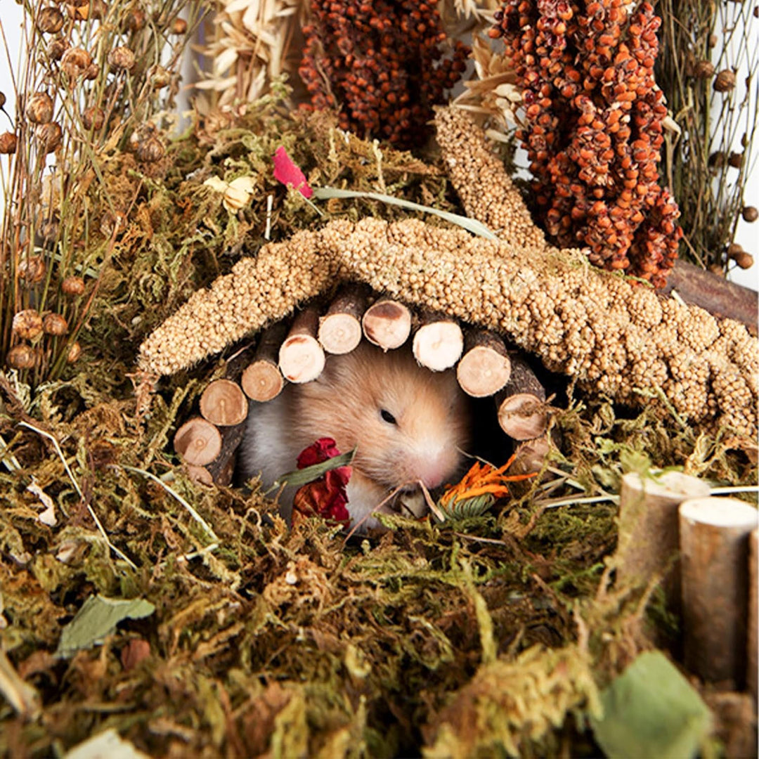 Natürliche Ähren aus Getreide Blumen und Kräuter, Einstreu, Lebensraum-Dekoration, lustiges Hamster-