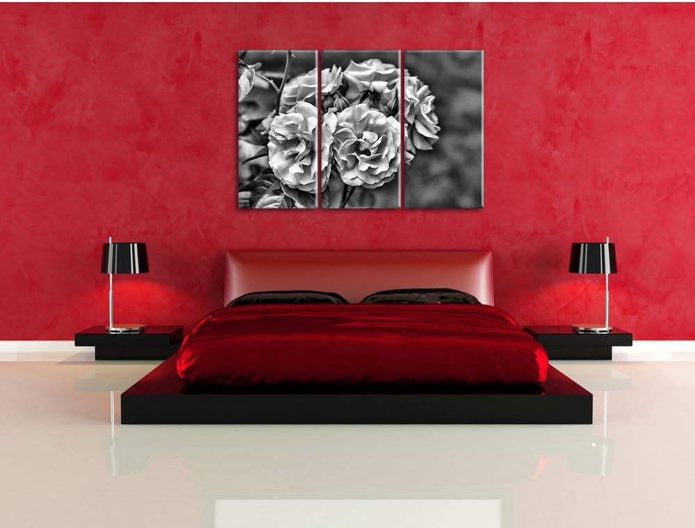 Pixxprint Weiss gelbe Rose Blumen als Leinwandbild/Grösse: 3 Teilig (120x80) cm/Wandbild/Kunstdruck/