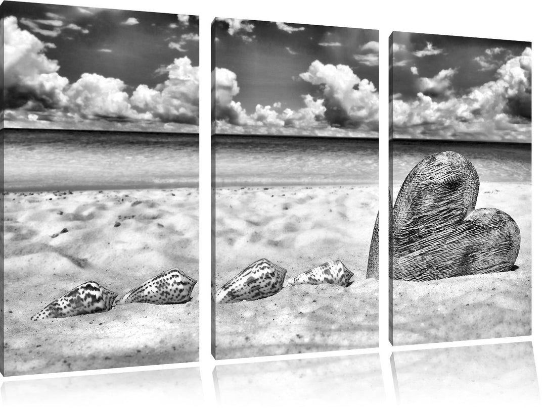 Pixxprint Sandstrand mit Muscheln als Leinwandbild/Grösse: 3 Teilig (120x80) / Wandbild/Kunstdruck/f