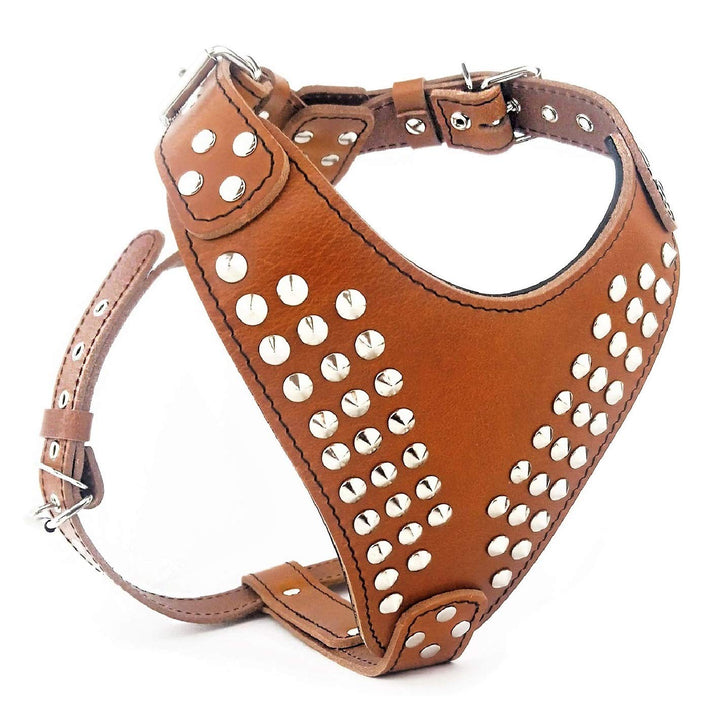 Bestia "Star&