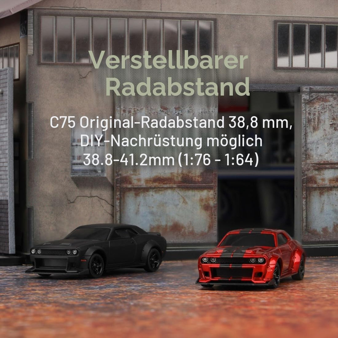 FLYCOLOR TurboRC 1:76 Mini Sportwagen 4CH 2.4GHZ Fernbedienung Full Proportional RTR Kit mit 2 austa