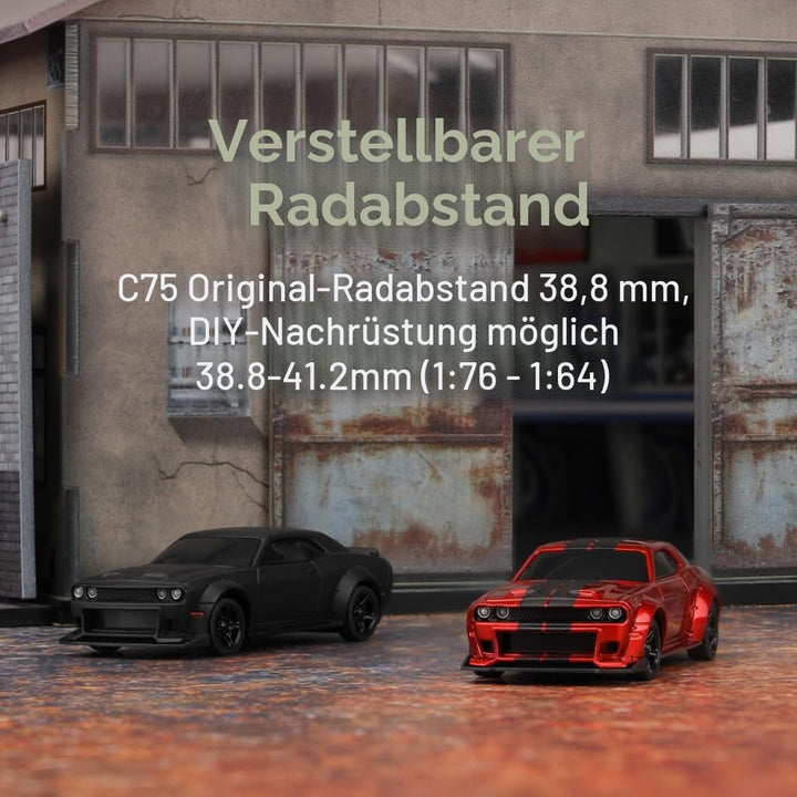 FLYCOLOR TurboRC 1:76 Mini Sportwagen 4CH 2.4GHZ Fernbedienung Full Proportional RTR Kit mit 2 austa