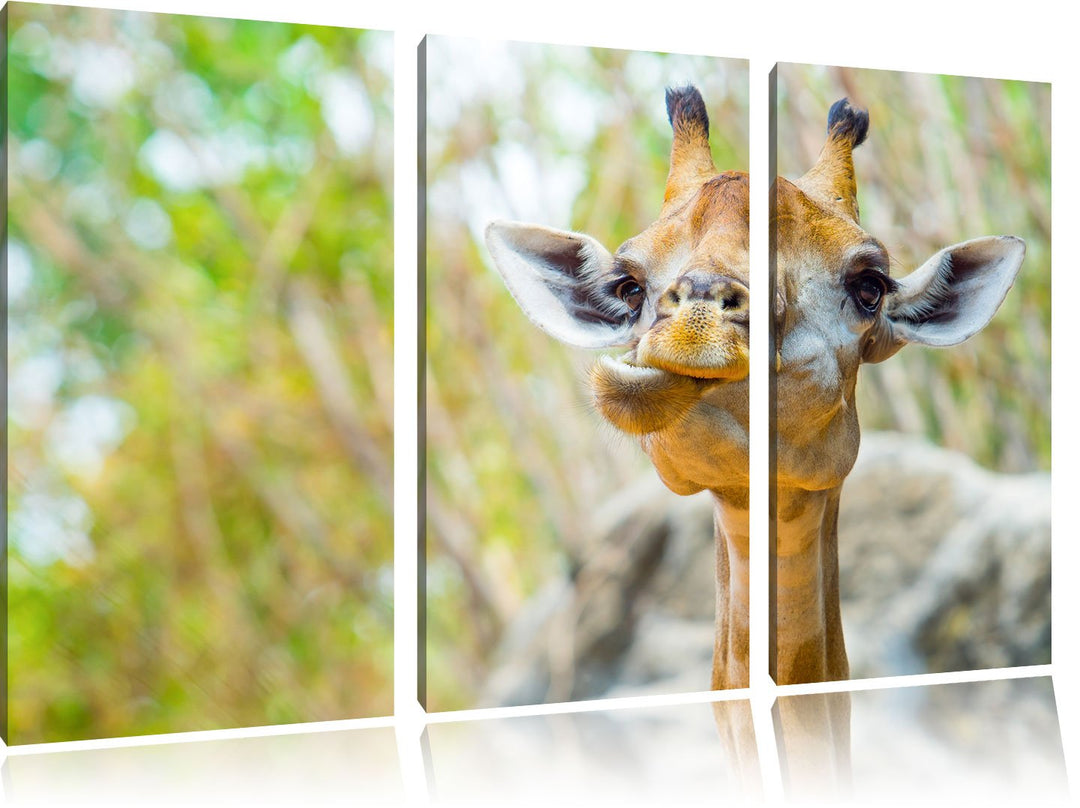 Pixxprint Giraffe in der Natur als Leinwandbild - Grösse: 3-Teilig (120x80cm) - Wandbild - Kunstdruc
